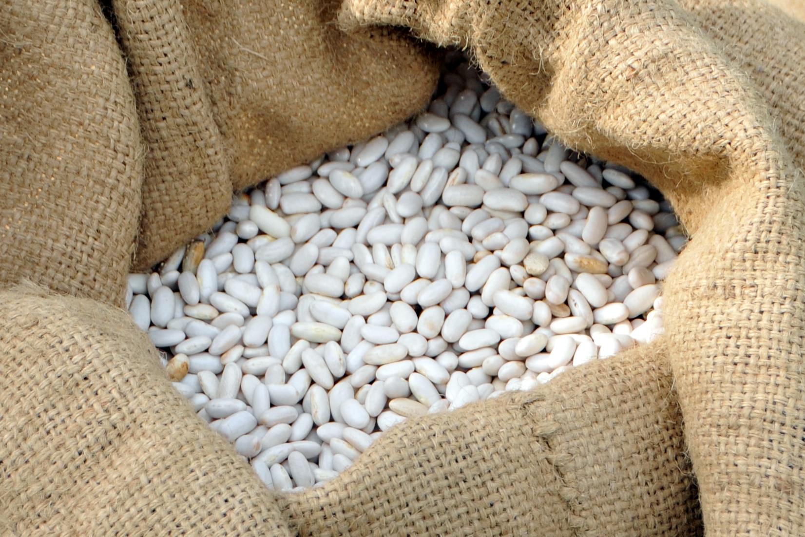 Le Lingot du Nord ~ Qualité alimentaire